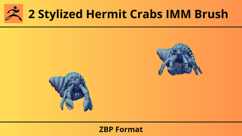 Sea Creatures IMM: Hermit Crabs