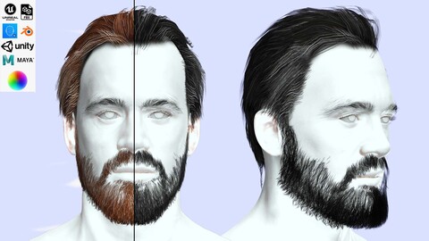 Classic Male Hair - Beard - Mustache Low Poly