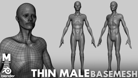 Thin Male Anatomy BaseMesh - Topology + UV map