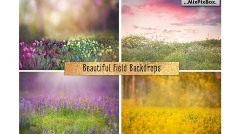 Beautiful Field Backdrops