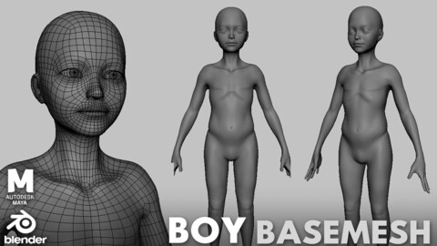 Boy Anatomy BaseMesh - Topology + UV map