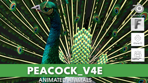 Peacock_V4E