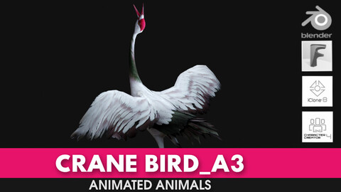 Crane Bird_A3