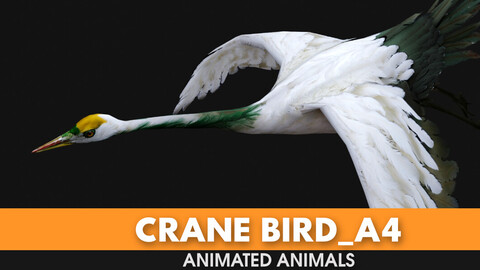 Crane Bird_A4