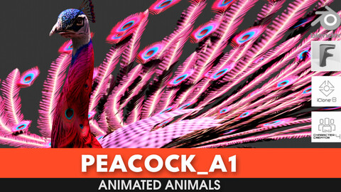 Peacock_A1