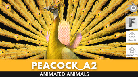 Peacock_A2