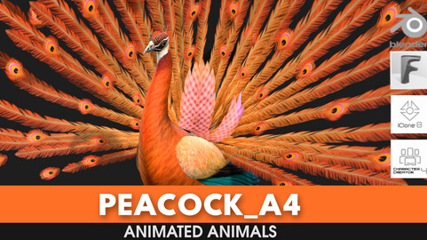 Peacock_A4