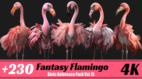 +230 Fantasy Flamingo | 4K | Birds Reference Pack Vol.15