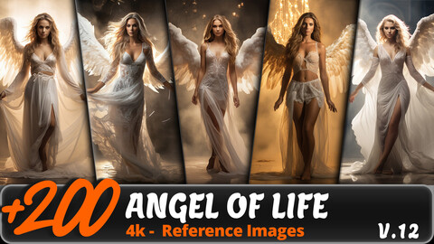 ANGEL OF LIFE VOL. 12/ 4K/ Reference Image