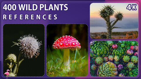 400 Wild Plants Reference Pack – Vol 1