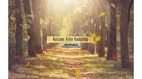 Autumn Alley Backdrop