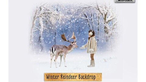 Winter Reindeer Backdrop