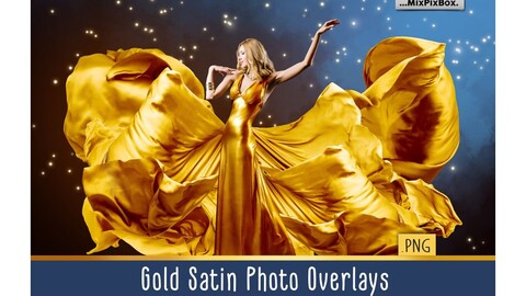 Gold Satin Photo Overlays