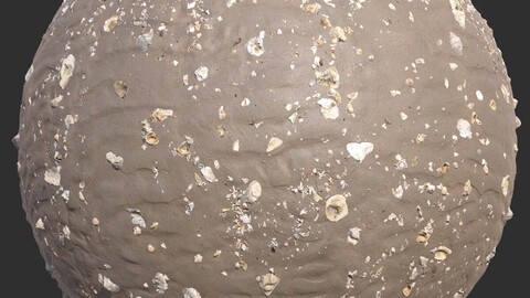 Broken Seashells on Rippled Sand Pbr 4k Texture