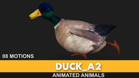 Duck_A2