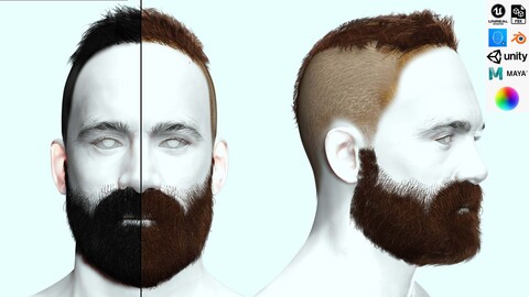 Realistic Male Hair Low-poly