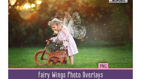 Fairy Wings Overlays