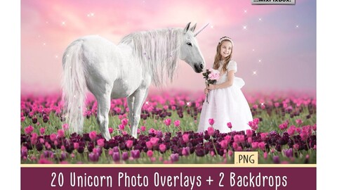 Unicorn PNG Overlays Pack+ Backdrops