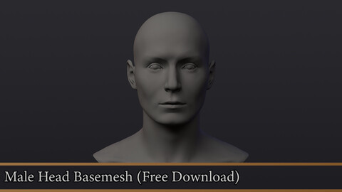 Male Head Basemesh