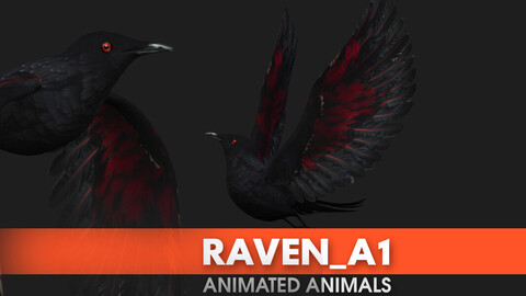 Raven_A1