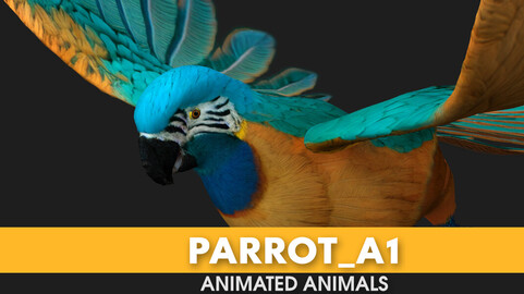 Parrot_A1