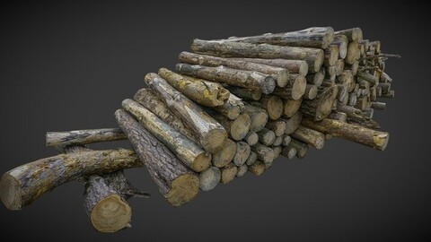 Pile of logs, heap of wood 02