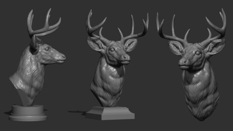 White tailed deer bust