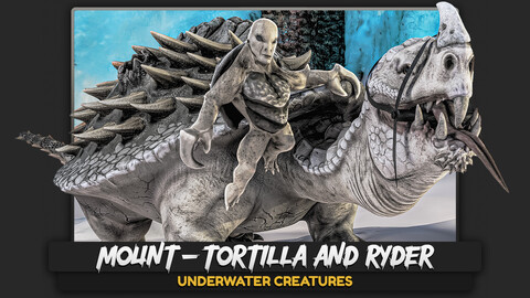 Turtles: Mount & Rider - Tortilla & Ryder - Low Poly Realistic 3D Model - Creature Animated Monster - Rigged Riding Reptile - #21