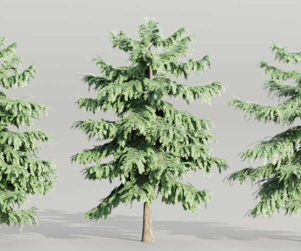 ArtStation - Pine trees collection vol 107-Blender-3DModel | Resources