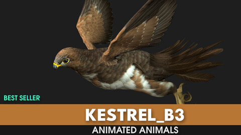 Kestrel_B3