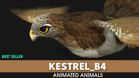 Kestrel_B4