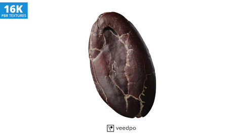 Cocoa Bean 3D Scan 06 Photorealistic 3D Model - Veedpo