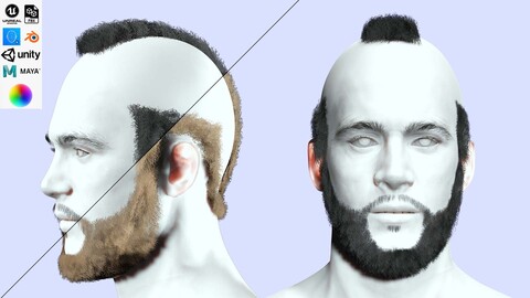 Realistic Male HairStyle