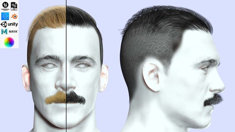 Classic Male Hair With Mustache