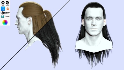 Long Male Hair - Ponytail half up