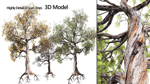 Gum Trees 3D Pack with Summer, Fall, and Winter Leaf Colors