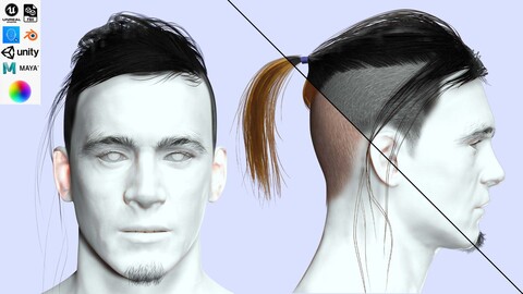 Man Hair - Ponytail Shaved Sides