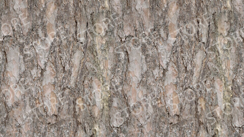Bark Seamless Texture Patterns 2k (2048*2048) | PNG 12 | JPG 12 File Formats All Texture Apply After Object Look Like A 3D