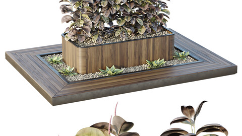 HQ Tree and bush garden box outdoor VOL 33