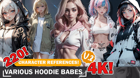 220 Beauties in Hoodies: Diverse Styles in 4K Reference Art V2