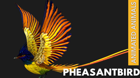 Pheasant Bird_A1