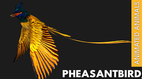 Pheasant Bird_A2