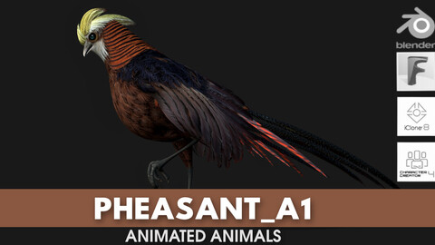 Pheasant_A1