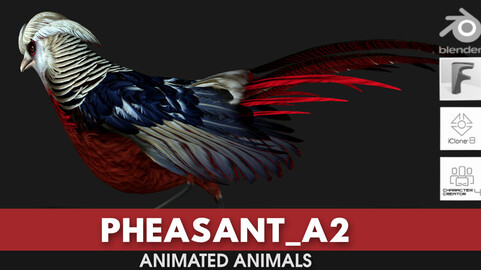 Pheasant_A2