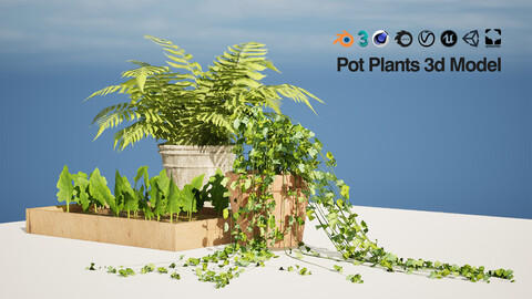 Plants pot 3d pack