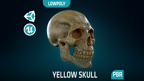 Human Skeleton Skull - Yellow - Lowpoly - Game Ready