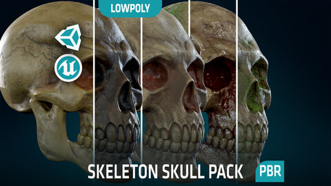 Human Skeleton Skull Pack - Gameready - Lowpoly - Textured PBR