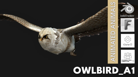 OwlBird_A1