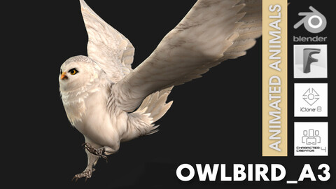 OwlBird_A3