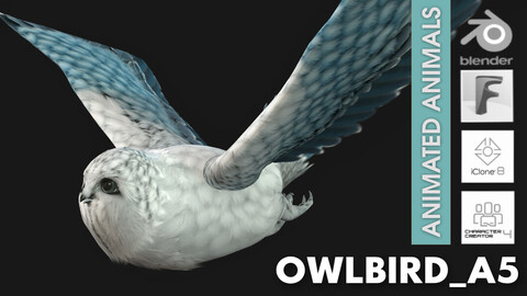 OwlBird_A5